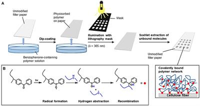 Covalent Attachment of Enzymes to Paper Fibers for Paper-Based Analytical Devices